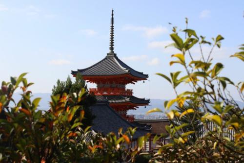 Japon