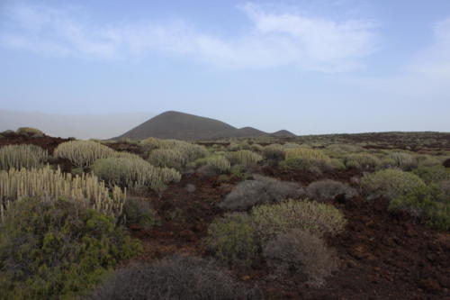 Tenerife